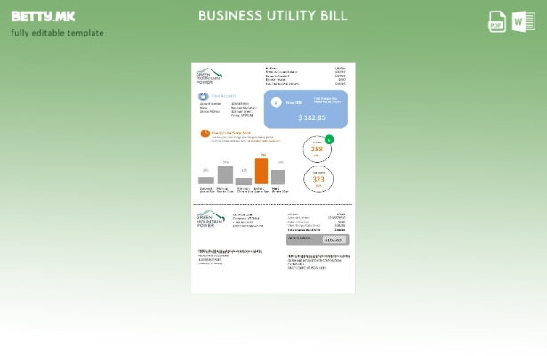 Сметка за комунални услуги за електрична енергија во САД Вермонт Грин Маунтин Па